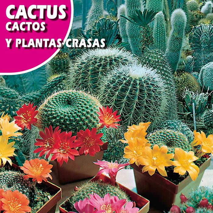 Cactus Mix (Cactos y Plantas crasas) Rocalba 0,5g
