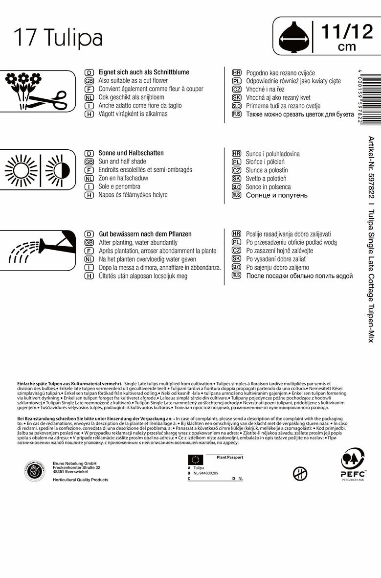 Virághagyma Tulipán Mega Pack Cottage Mix 15 db Kiepenkerl