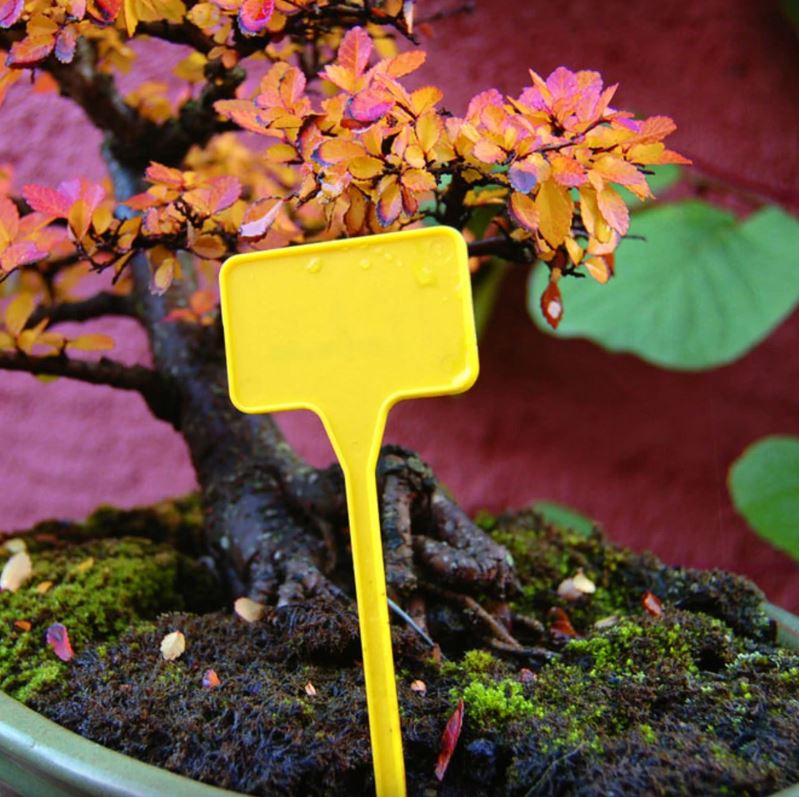 Leszúrható jelölőtáblák LABEL15 10 db