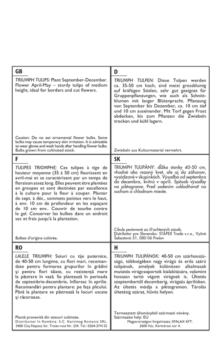 Flower bulb Tulip Negrita 10 pcs Garden Seed from Rédei