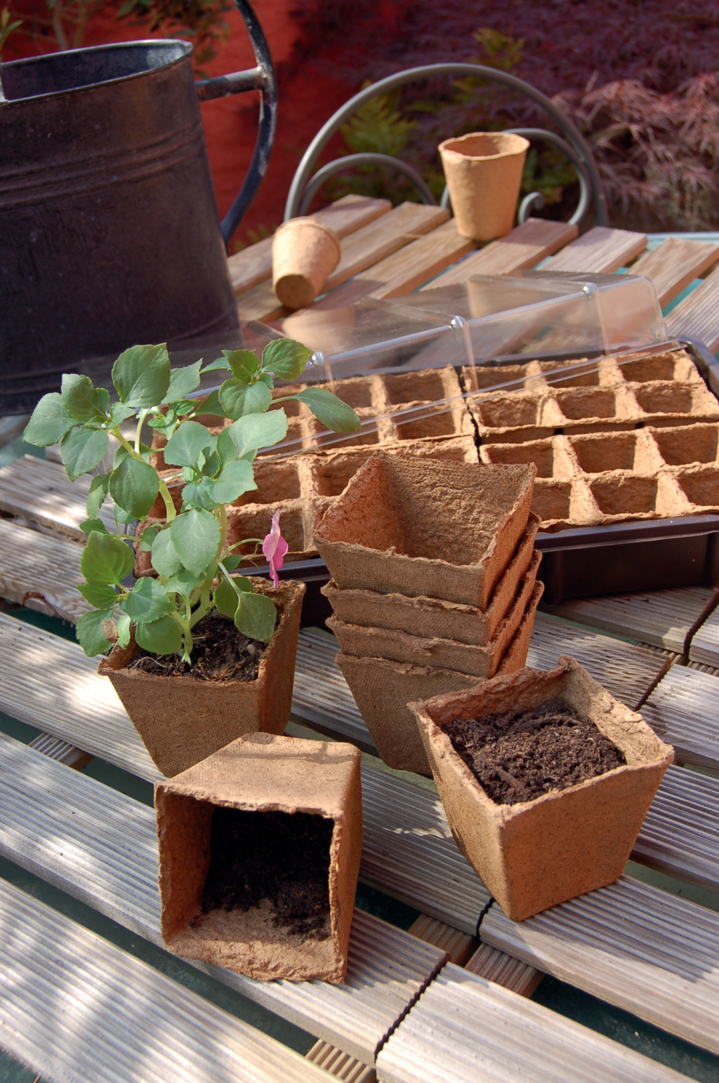 Peat pots "Growing pots" 8x8 cm 14 pcs