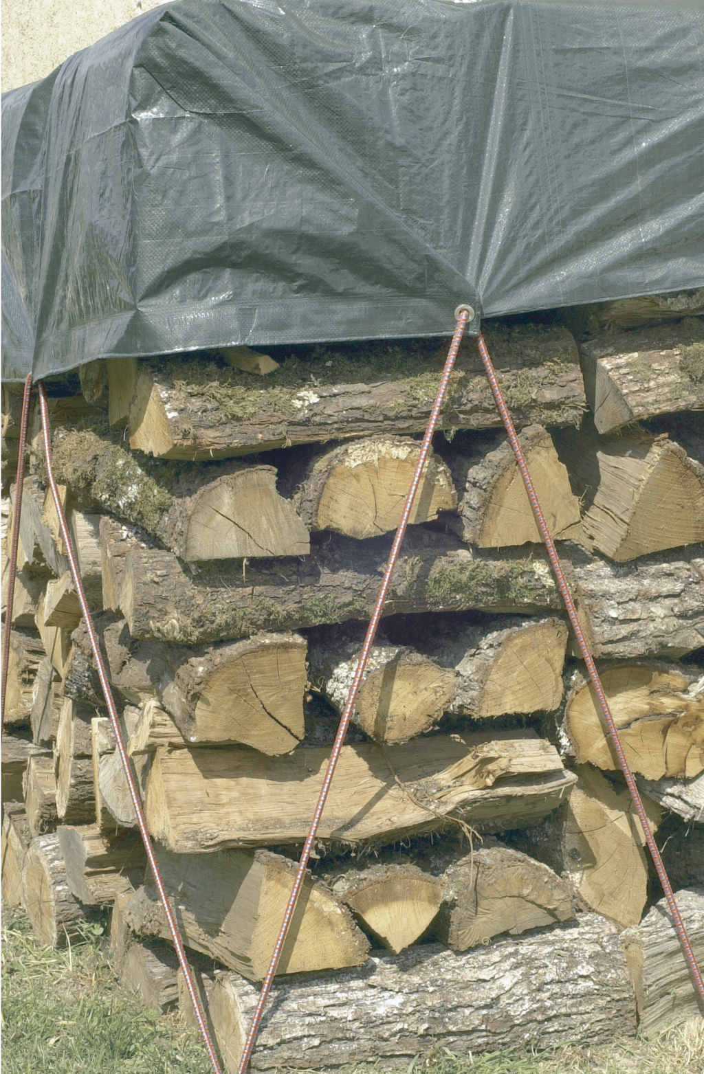 Tarpaulin Protex Wood green 1,5x6 m