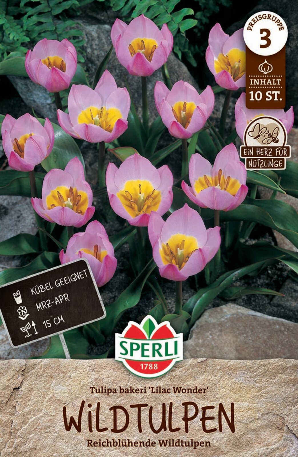 Flower Bulb Tulip Wild Tulip Lilac Wonder 10 pcs Sperli