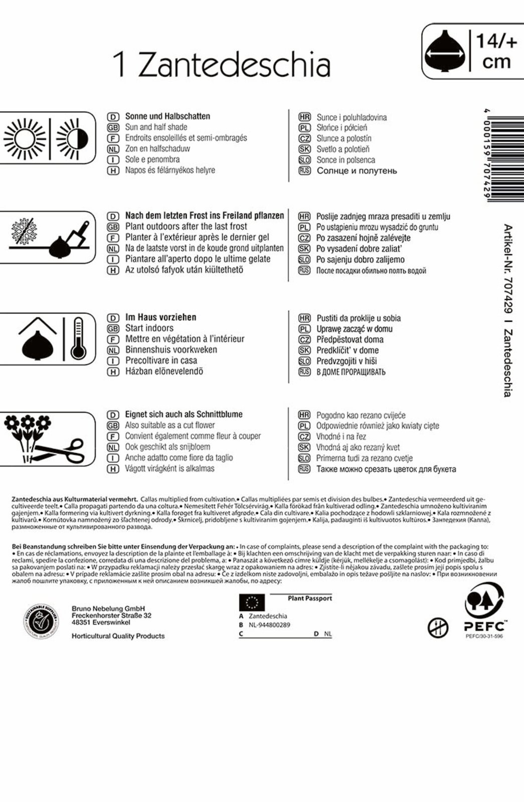 Virághagyma Kála (Zantedeschia) orange (narancssárga) Kiepenkerl 1 db