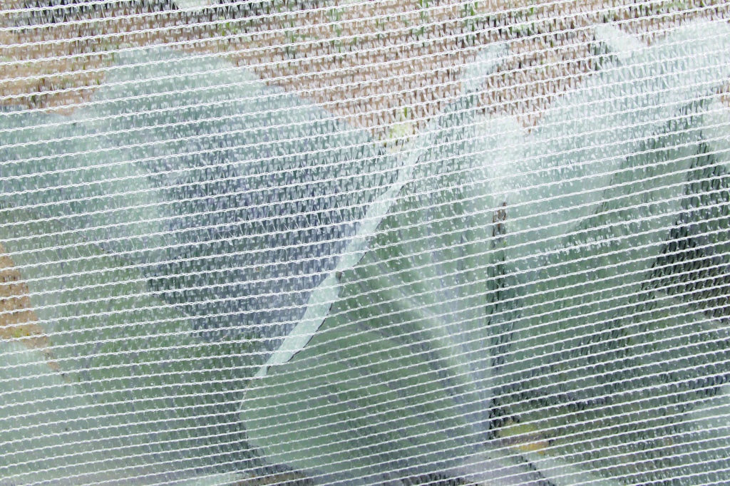 Insect protection net Protec 4x6 m