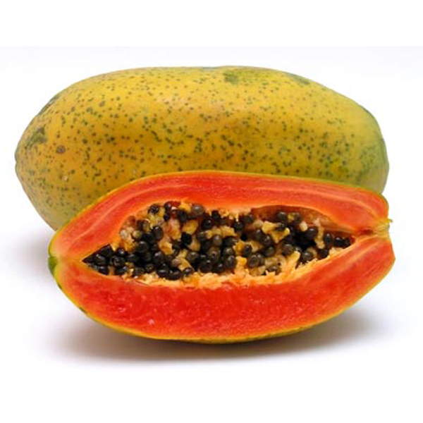 Papaya (Carica Papaya) 5 szem