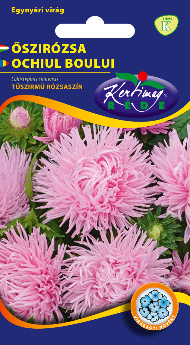 Őszirózsa Tűszirmú rózsaszín 1g