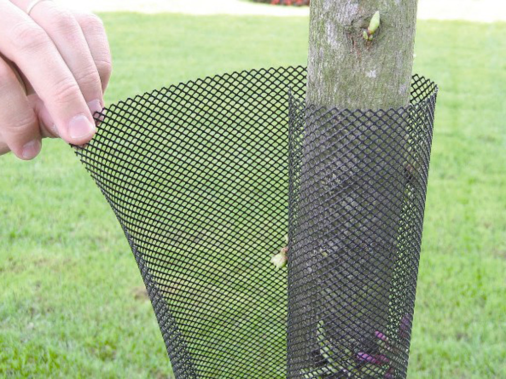 Tree protection grid Treex black 55 cm (11 cm diameter)