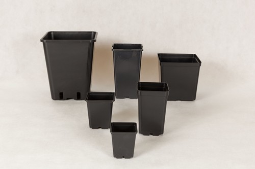 Plastic square pot 11x11x21,5 H cm