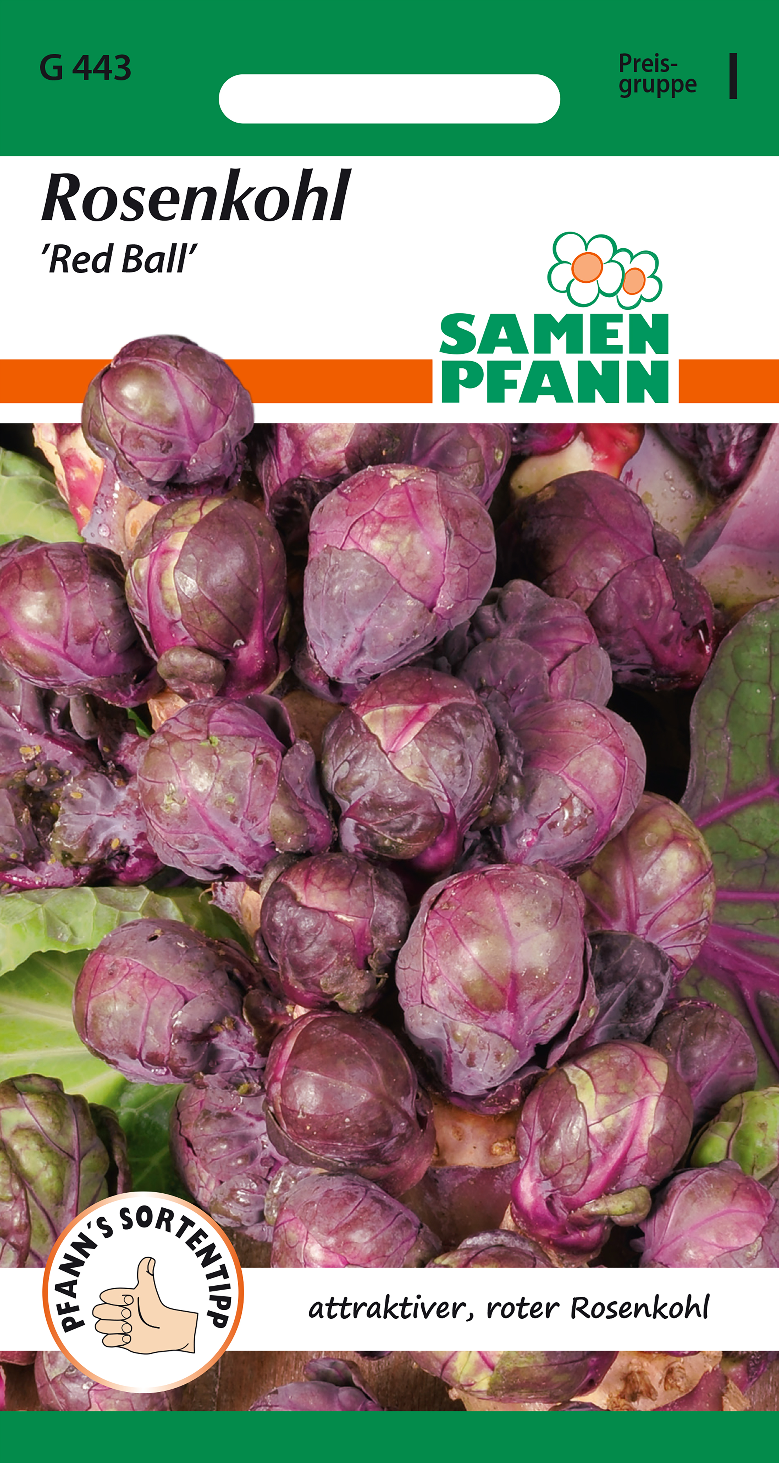 Brussels sprouts red Red Ball 15 seeds seeds Pfann