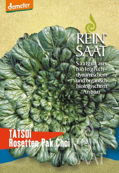 Asian lettuce organic Tatsoi Rein Saat approx. 500 seeds