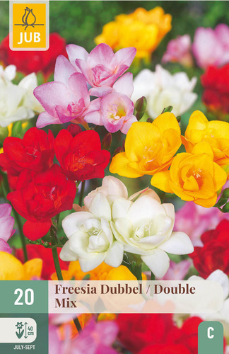 Virághagyma Frézia Dubbel/Double Mix 20 db JUB