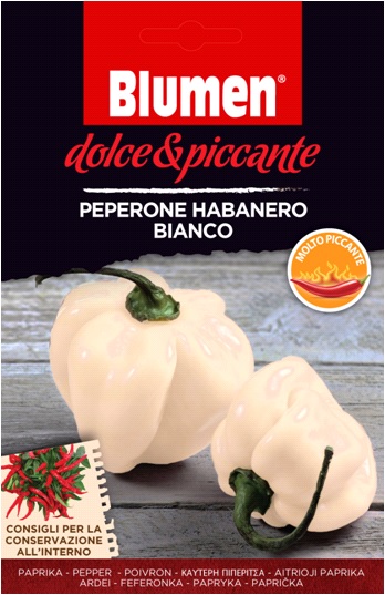 White habanero pepper Blumen - extremely hot Blumen (approx. 10-20 seeds)