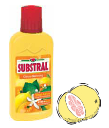 Substral nutrient solution for citrus 0,25 l