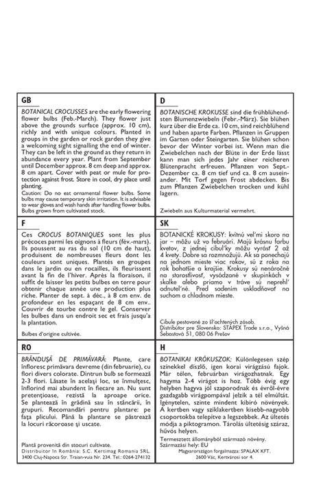 Virághagyma Botanika Krókusz színkeverék Tricolor 10 db Rédei Kertimag