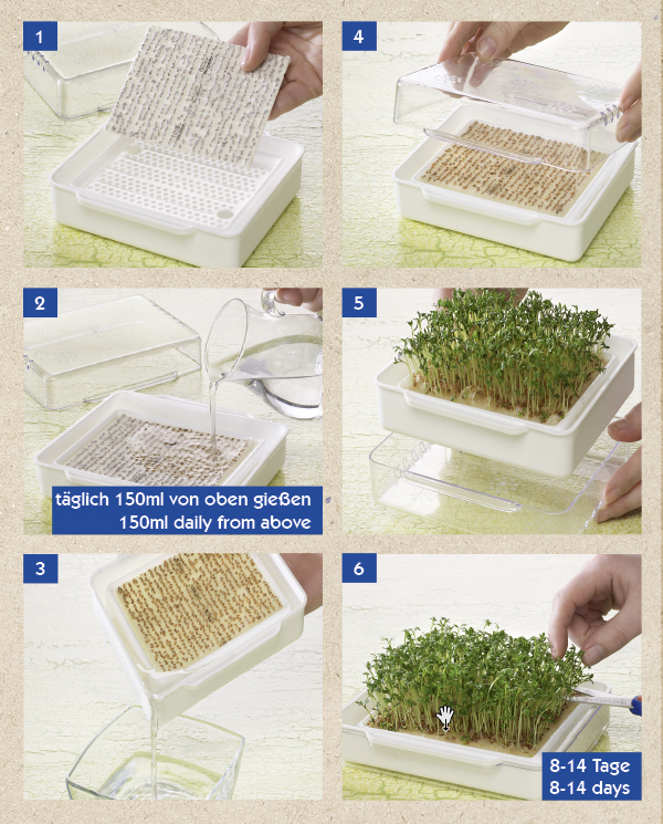 Micro Vegetable Germination Kit MicroGreen Garden Kiepenkerl