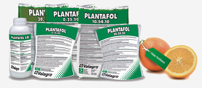 Plantafol 10-54-10+TE 1 kg
