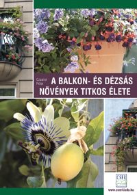 The secret life of balcony and container plants - Péter Czauner