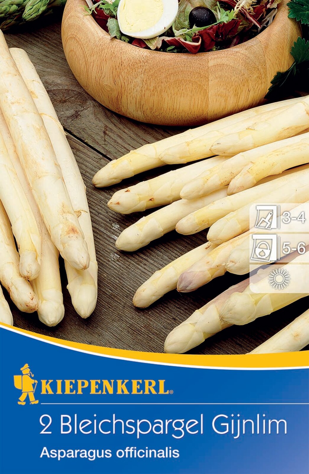 White asparagus Gijnlim Kiepenkerl 2 plants