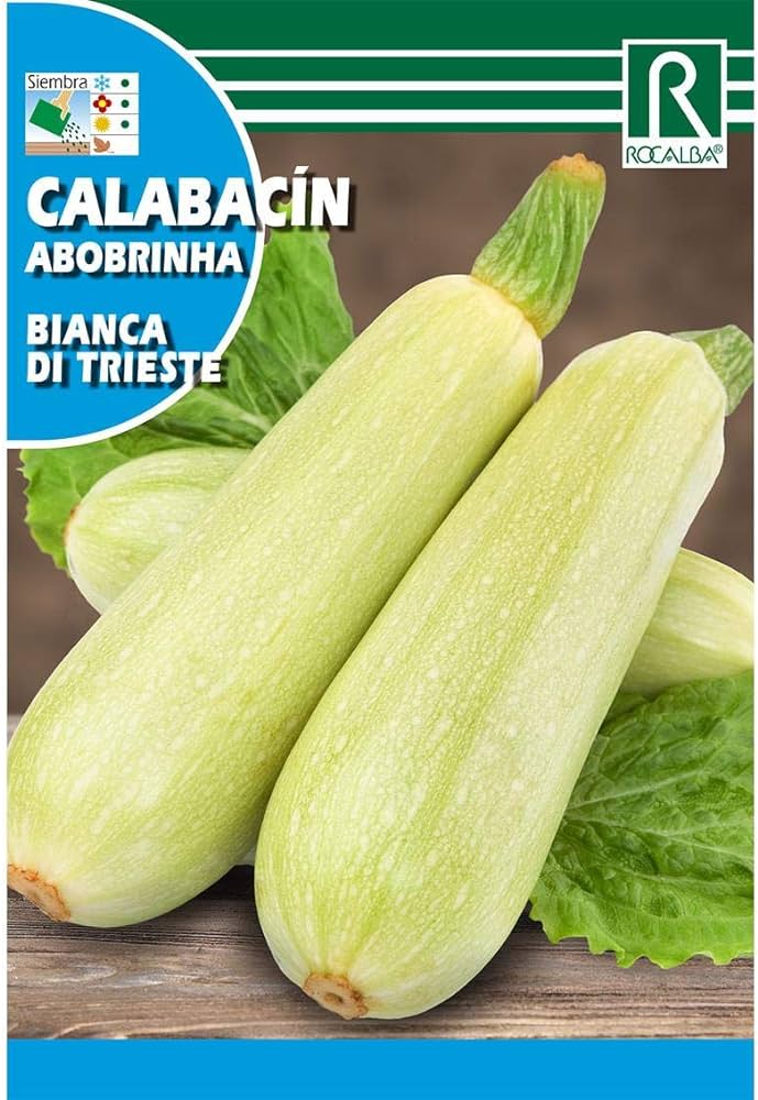 Courgettes Bianca di Trieste Rocalba 8 g