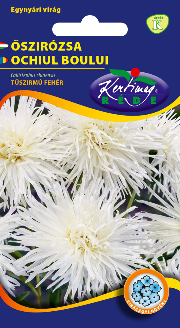 Őszirózsa Tűszirmú fehér 1g
