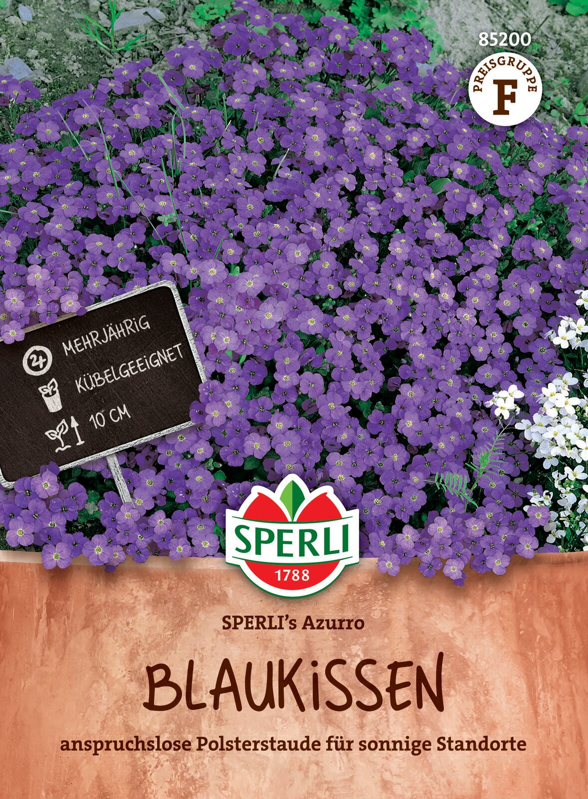 Lawn violet Azurro 50 seeds Sperli