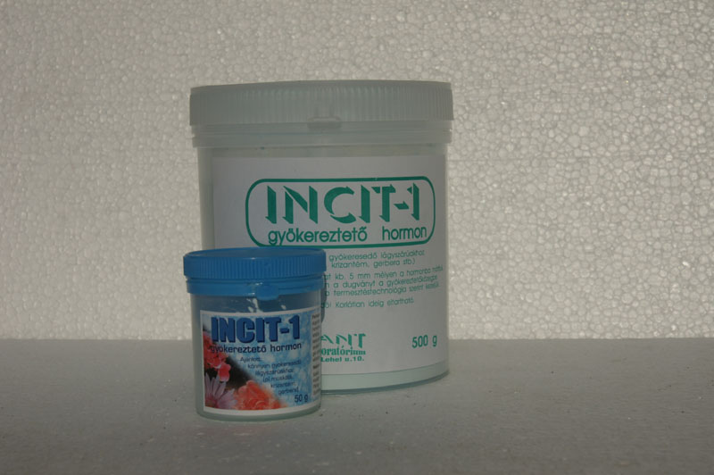 INCIT-1 gyökereztető por 500g muskátlis
