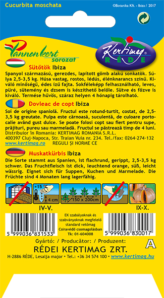 Sütőtök Ibiza 10 szem