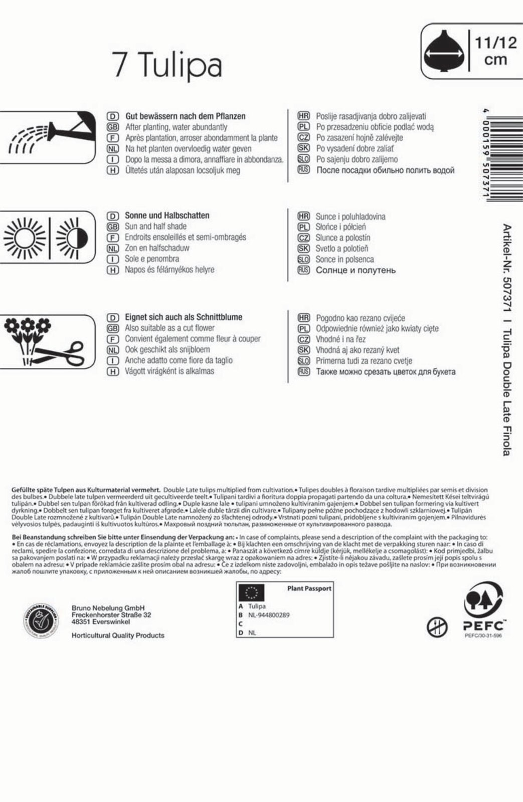 Flower bulb Tulip Finola 7 pcs Kiepenkerl