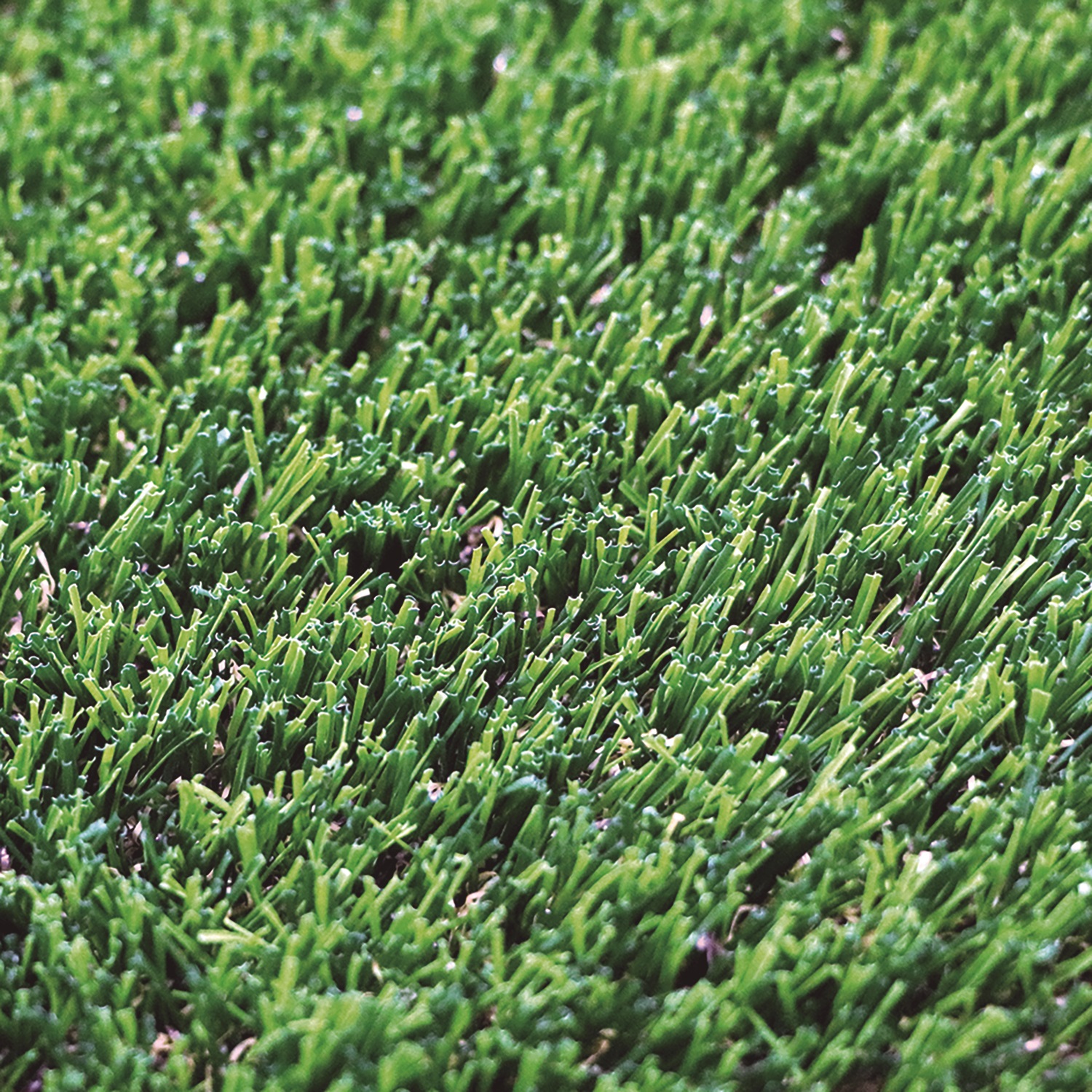 Artificial grass GREEN DENIA X-TRA 40 2x10 m 40 mm