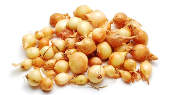 Dughagyma Shalottahagyma Red Sun 250g