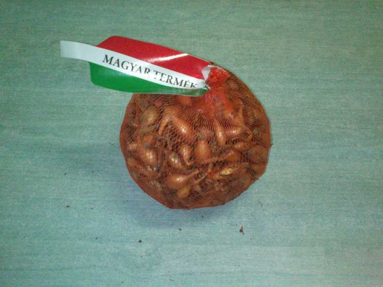 Onion Makói 300 g