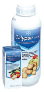 Calypso 480 SC 1 l