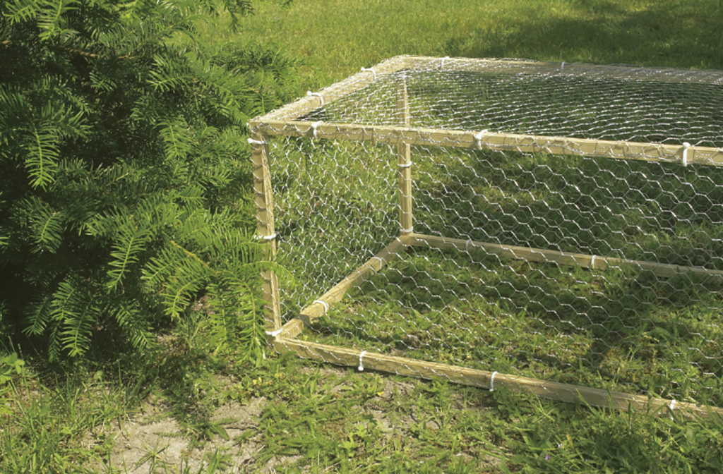 Poultry grid Galvanex 41 1x10m (41x0,8mm)