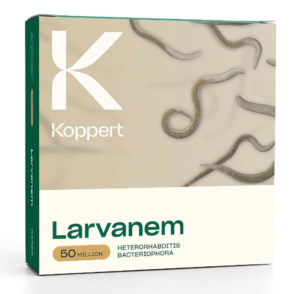 Larvanem 50 millió (200 m2-re)