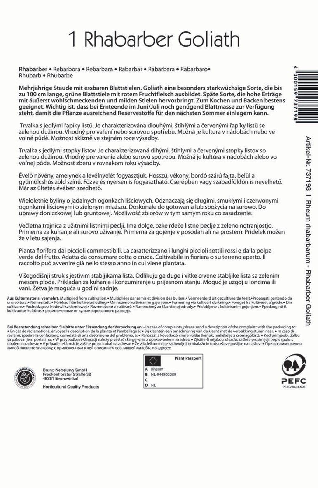 Rhubarb Goliath Kiepenkerl 1 plant