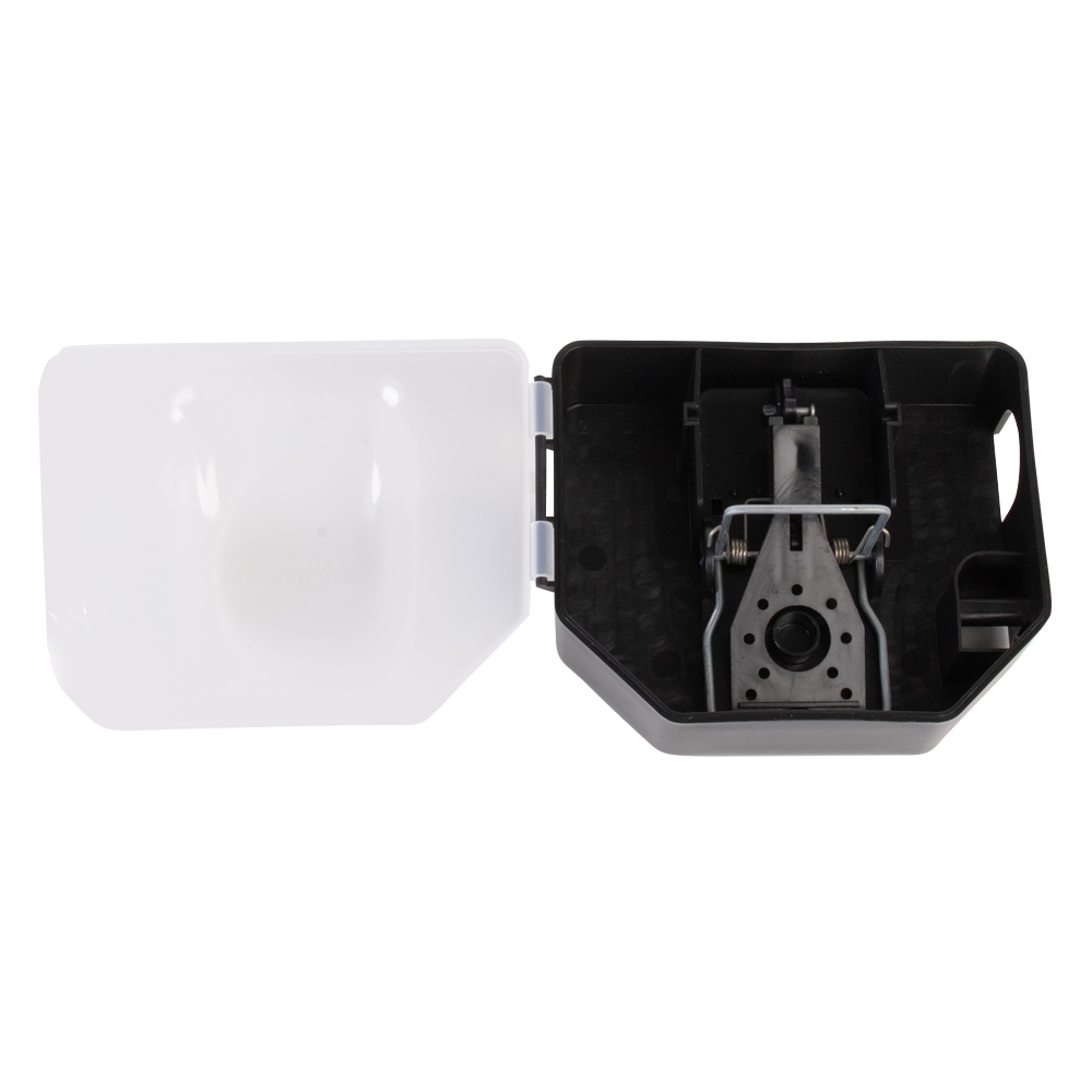 Egéretető doboz fém nyárssal IT