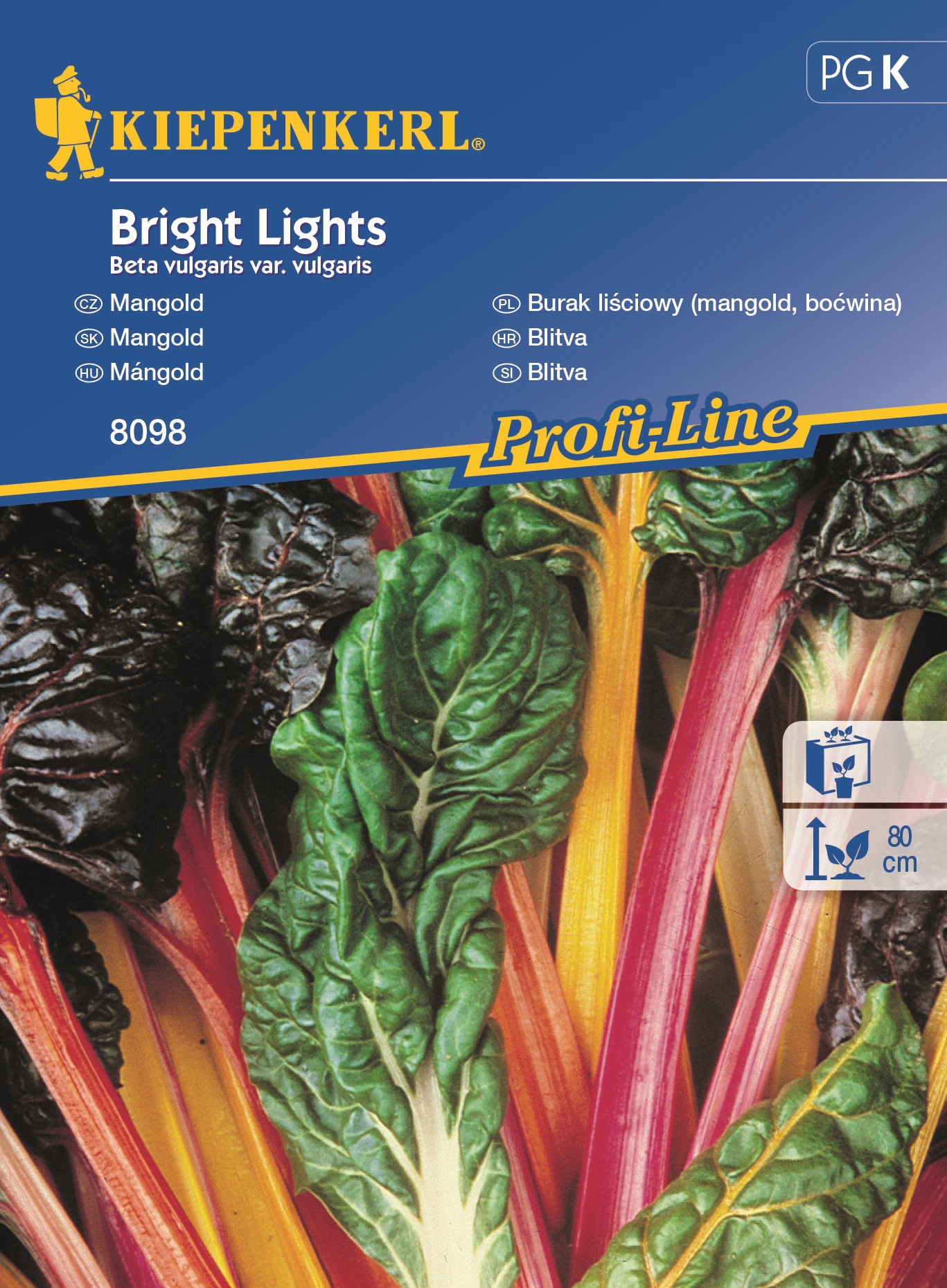 Mángold Bright Lights Kiepenkerl 30 seeds