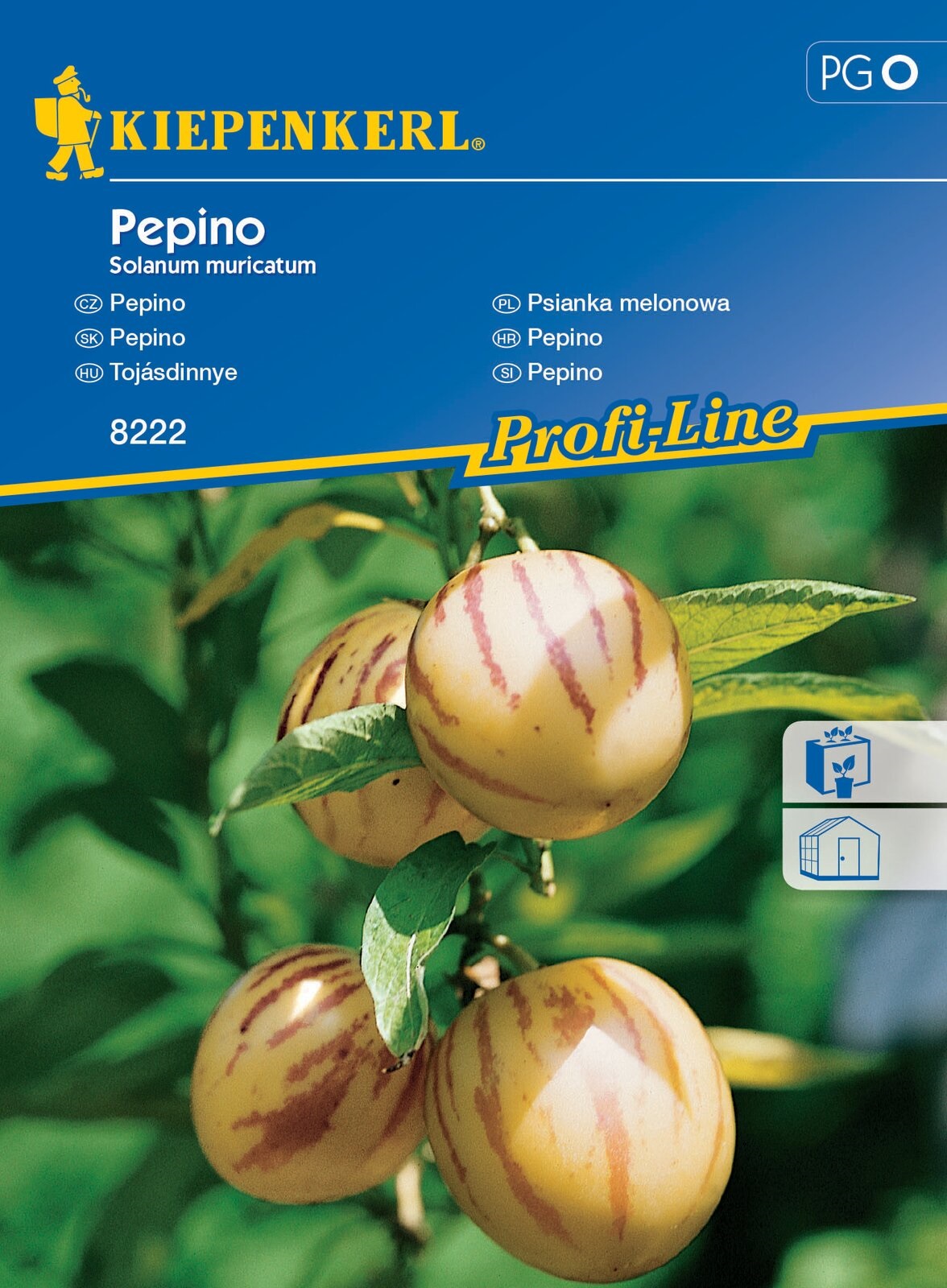 Egg melons Pepino Kiepenkerl 10 seeds