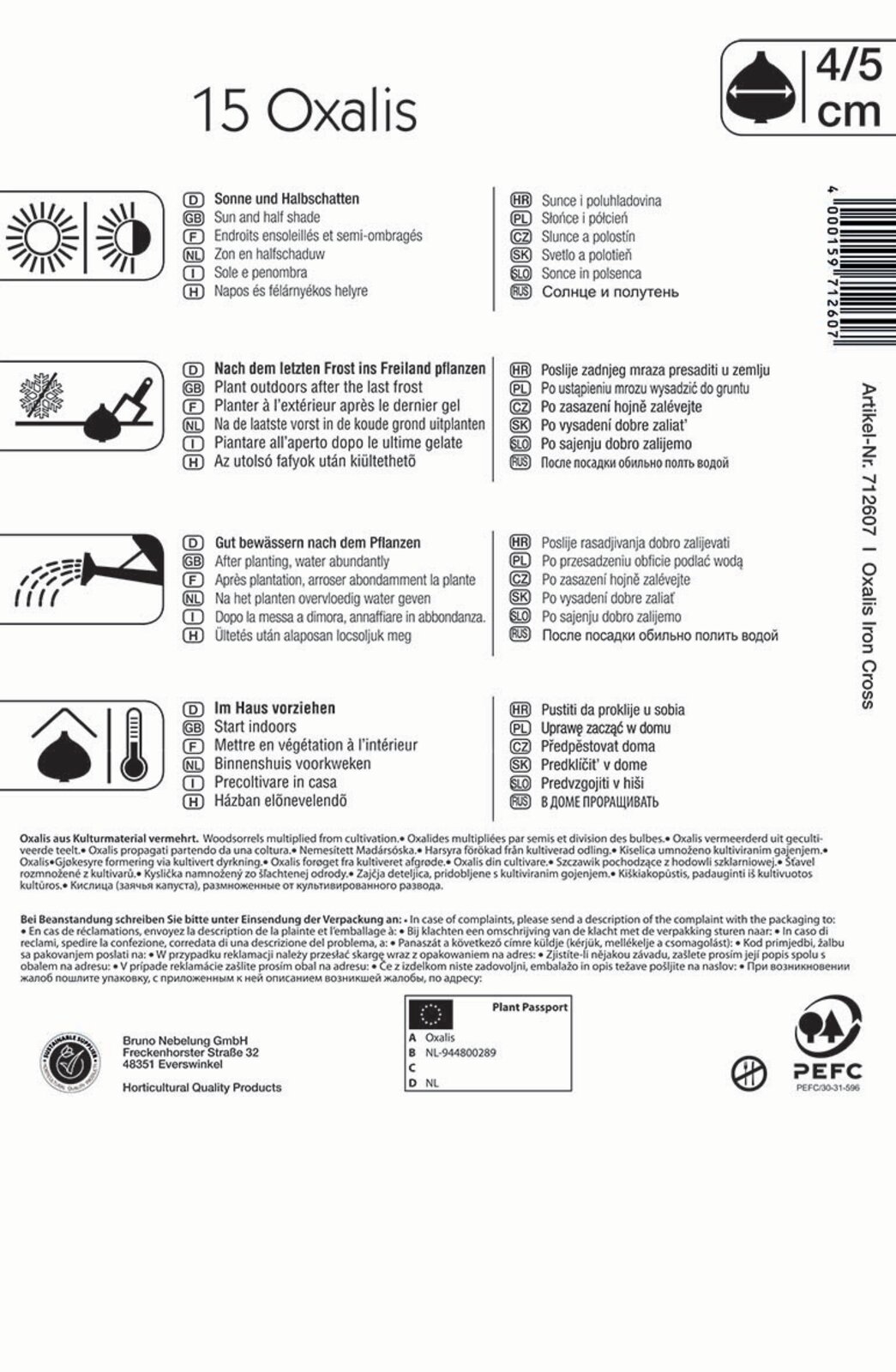 Virághagyma Négylevelű madársóska (Oxalis) Iron Cross Kiepenkerl 15 db