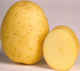 Potato seed tuber "Marabel" 50 pcs