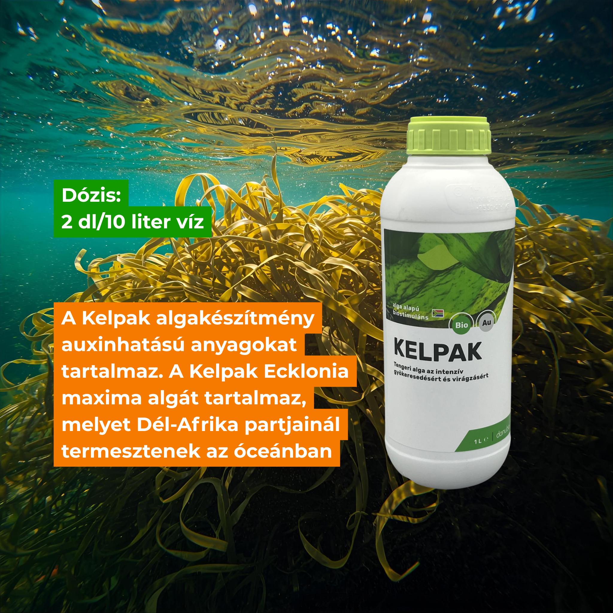 Kelpak 1 l