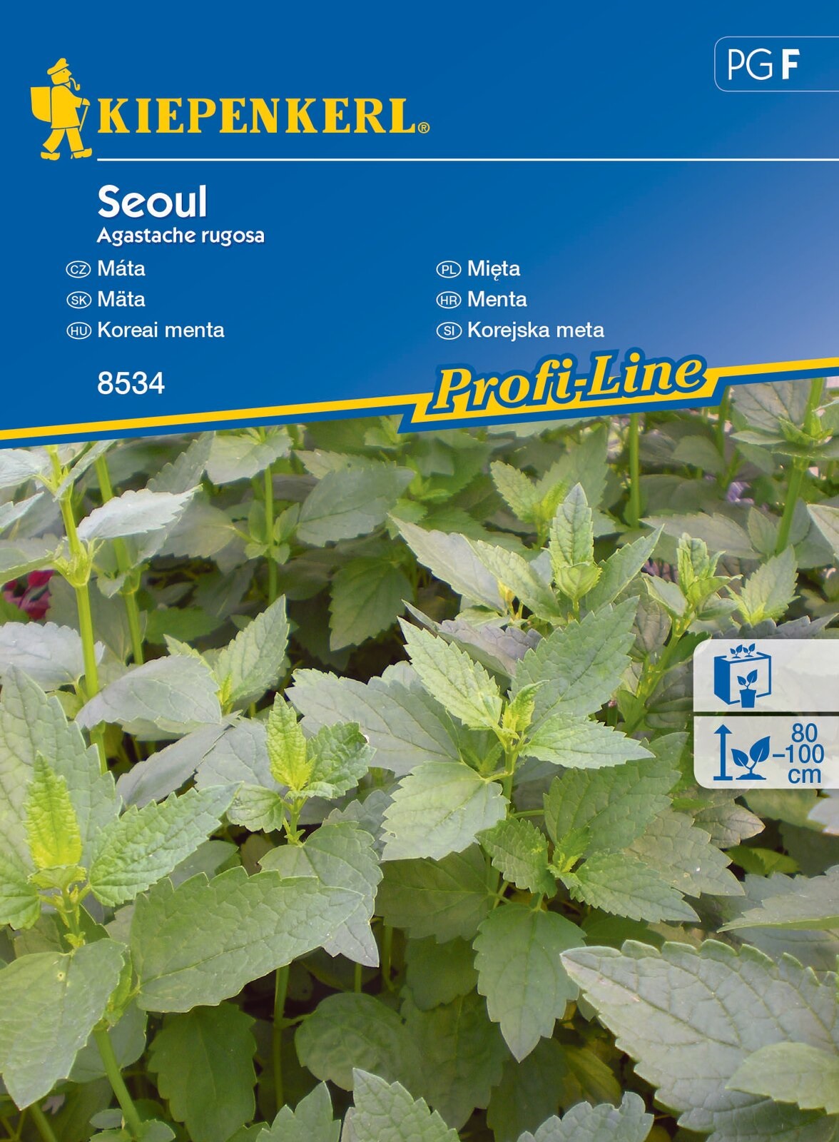 Korean mint Seoul 100 seeds Kiepenkerl