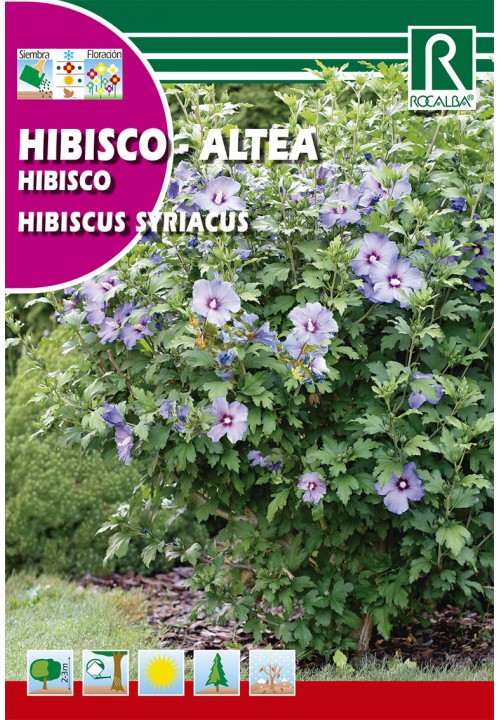 Mályvacserje (Hibiscus syriacus) Rocalba 2 g