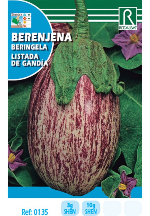 Eggplant Listada de Gandia Rocalba 3 g