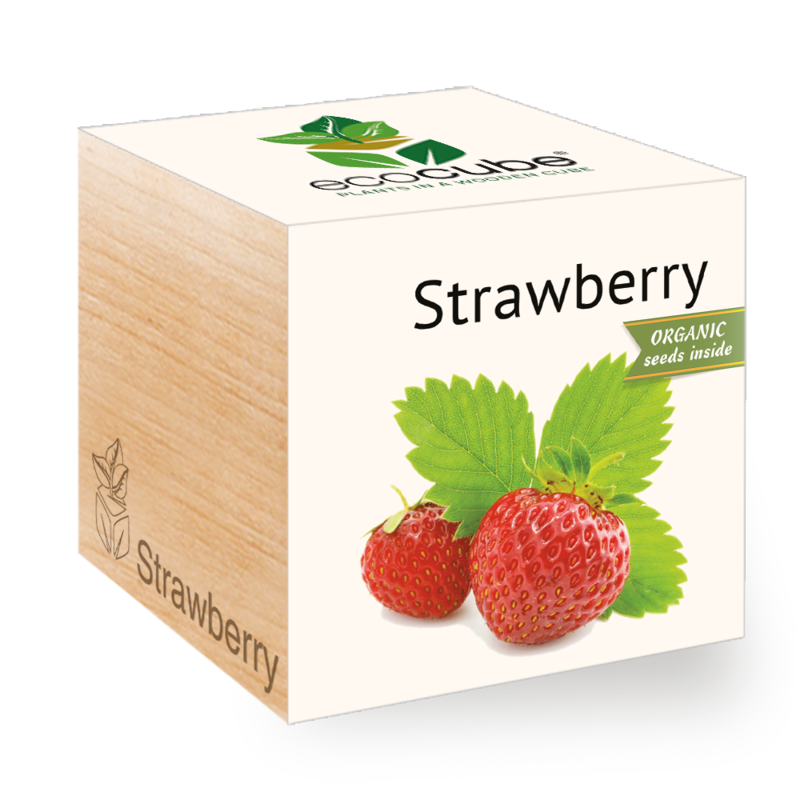 ecocube - Strawberry