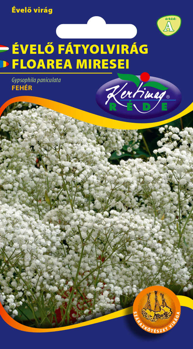 Fátyolvirág fehér Évelő 1g