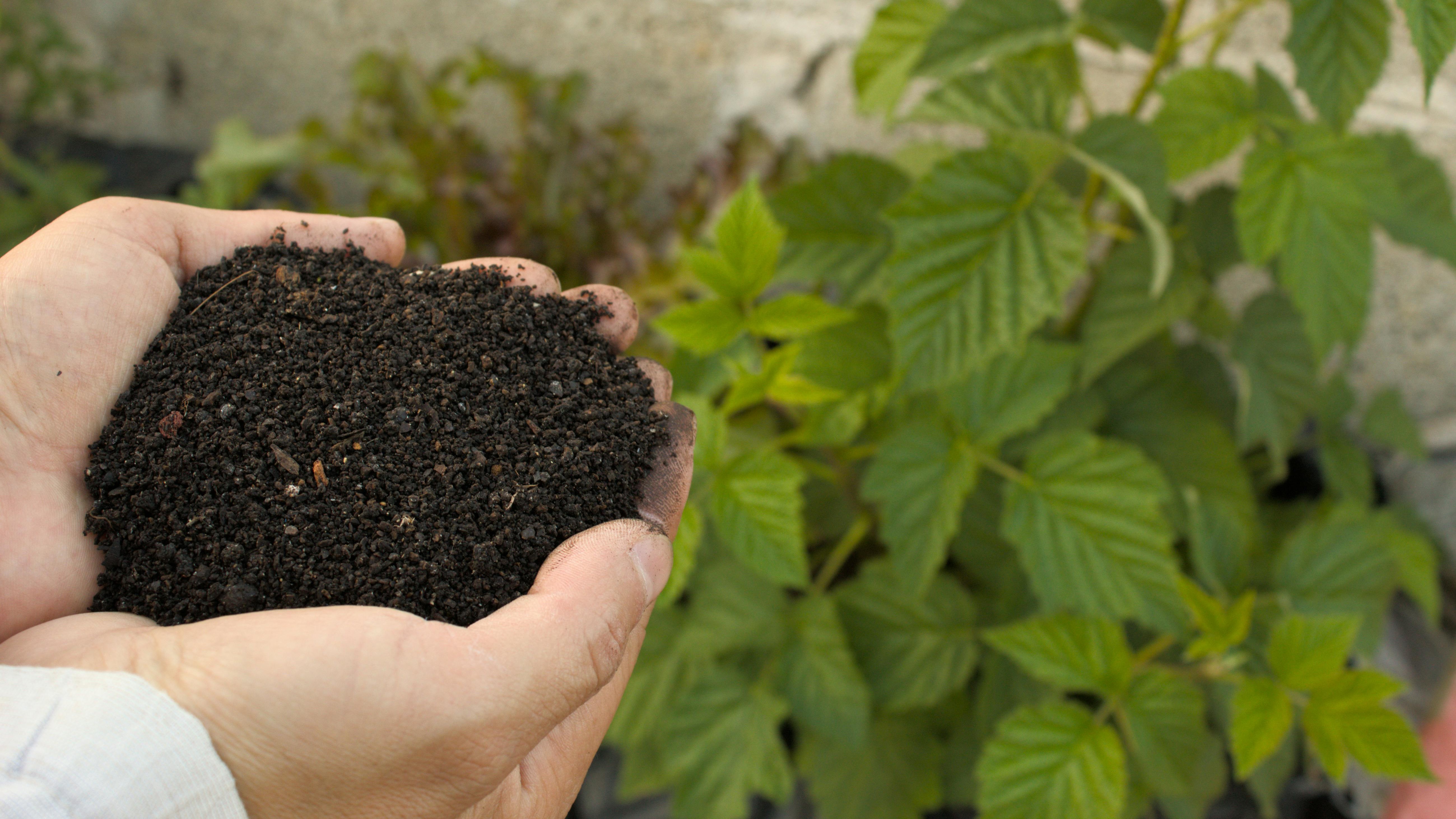 A jövő évi termés záloga: Őszi tápanyag-utánpótlás gyümölcsösben és szőlőben