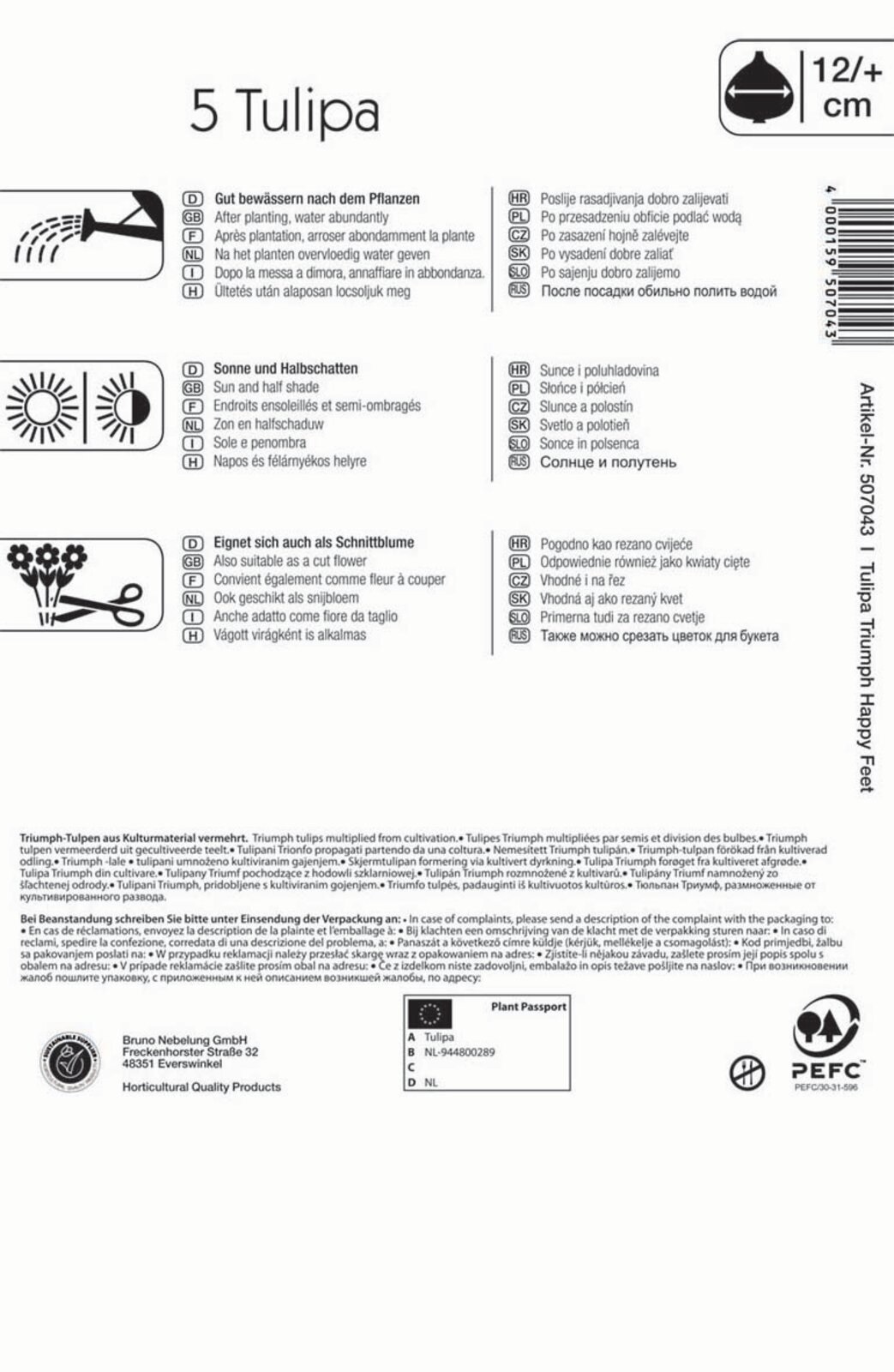 Virághagyma Tulipán Happy Feet 5 db Kiepenkerl