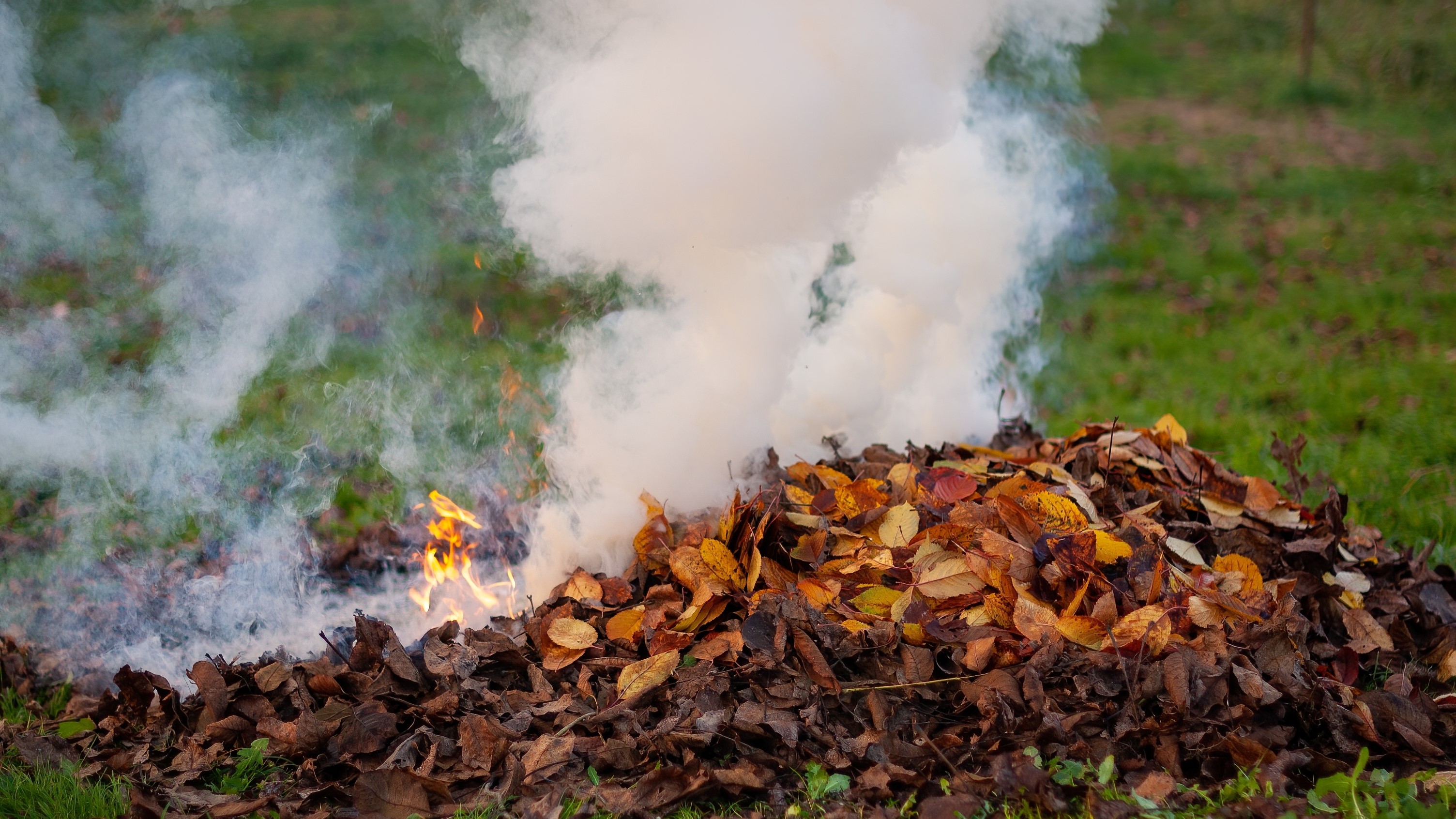 Őszi avarégetés – szükséges vagy ártalmas?